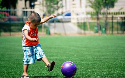 Top Rated Synthetic Turf Company San Diego, Artificial Lawn Play Area Company